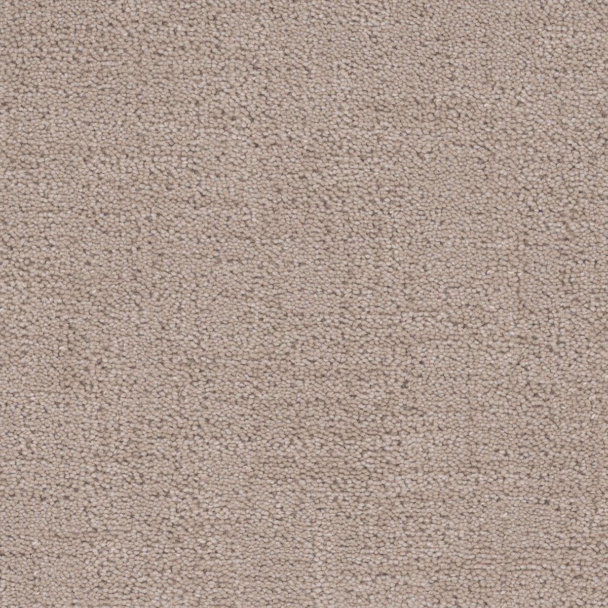 Cadence carpet in Porcelain 1901