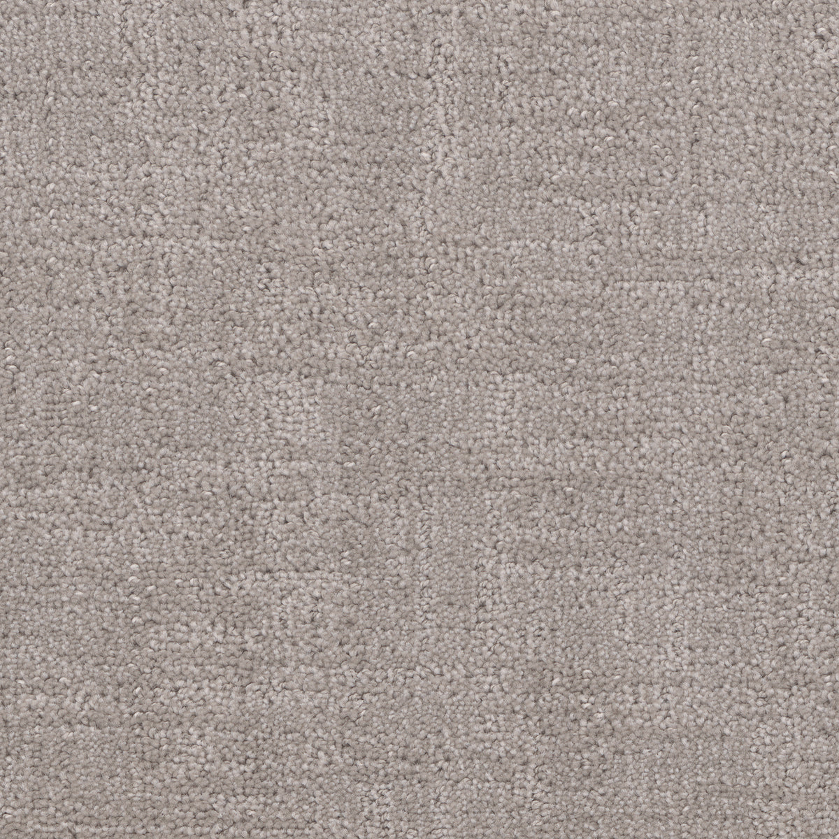Cadence carpet in Powder Gray 1903
