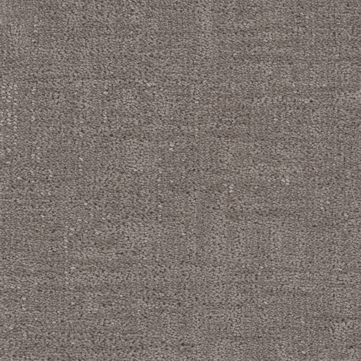 Cadence carpet in Steele 1906