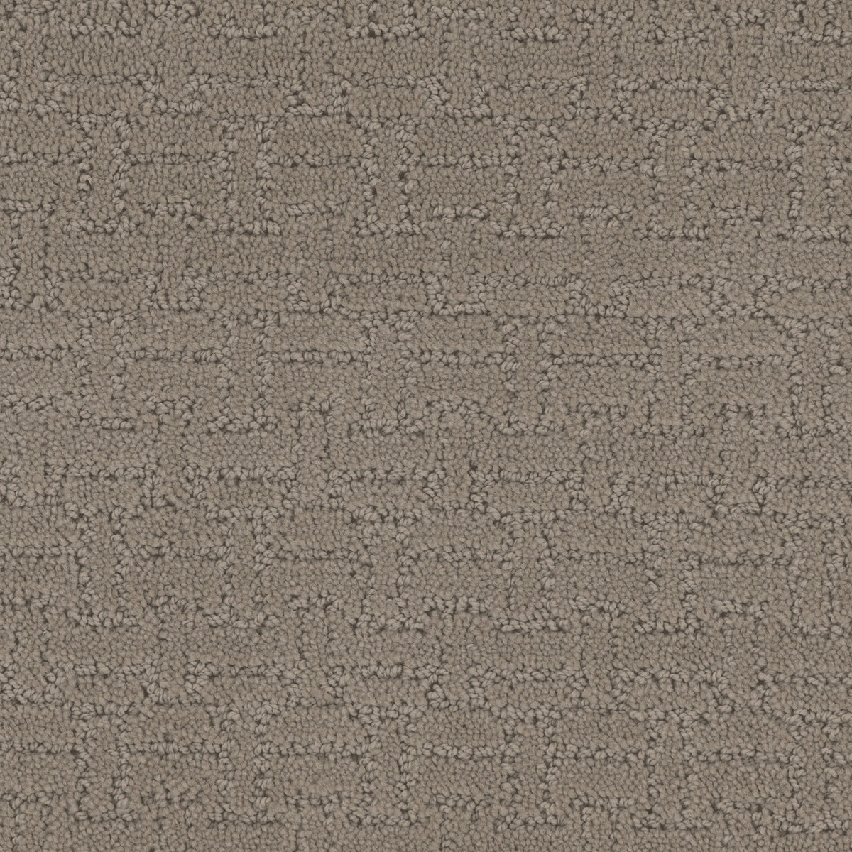 Del Rio carpet in Silver Lining 825