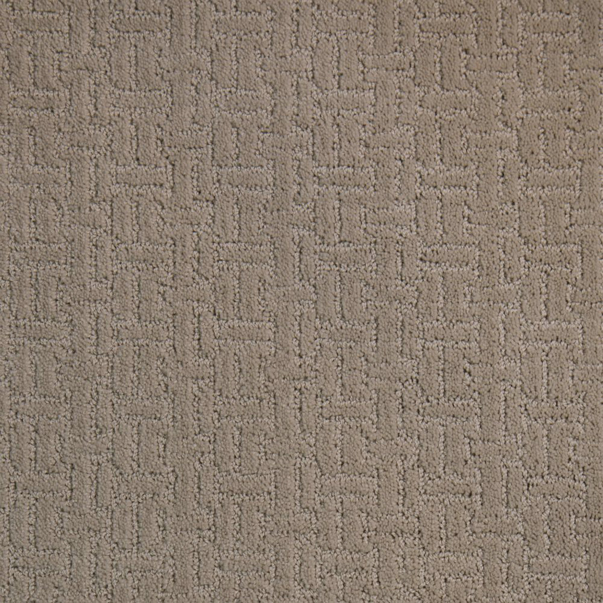 Del Rio carpet in Vanilla 103