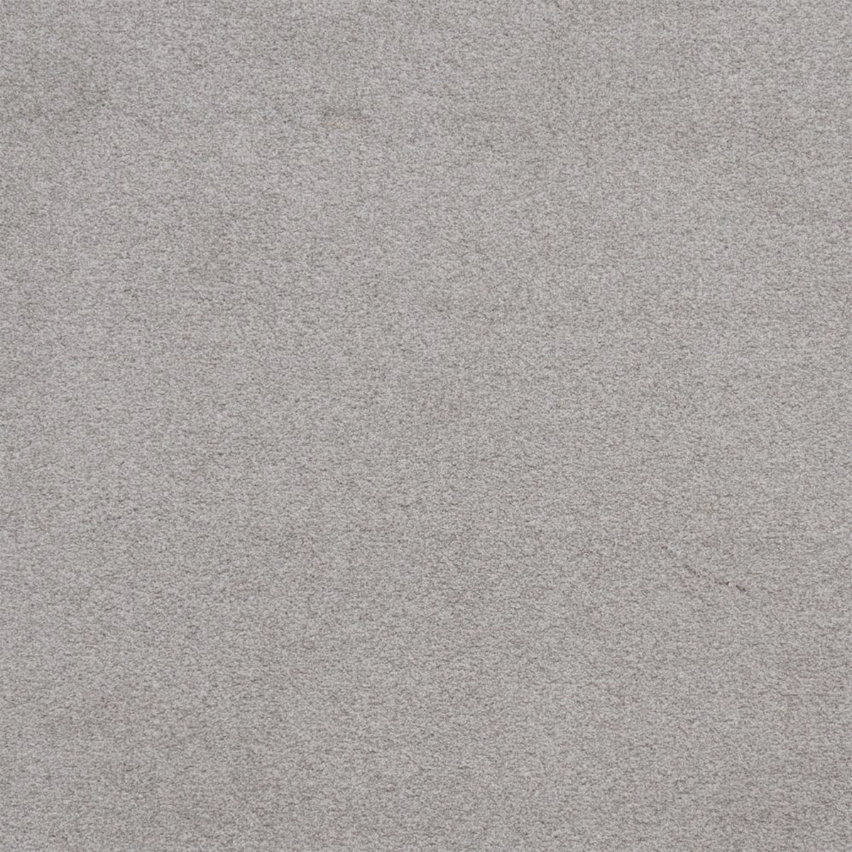 Downy carpet in Assurance 13370
