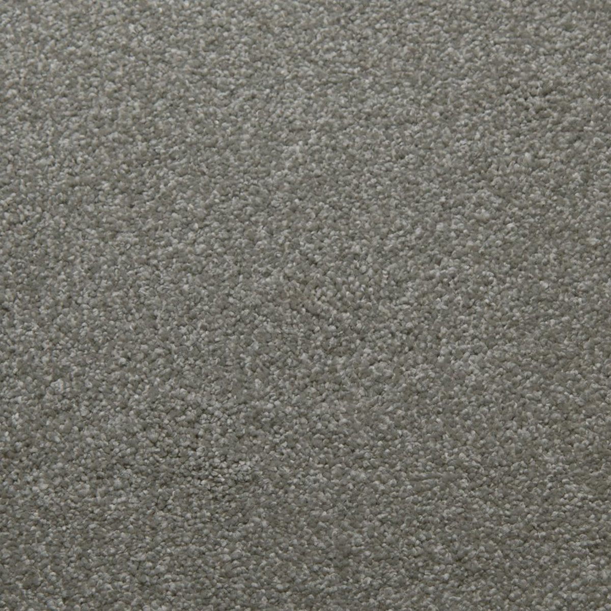 Downy carpet in Balance 13380