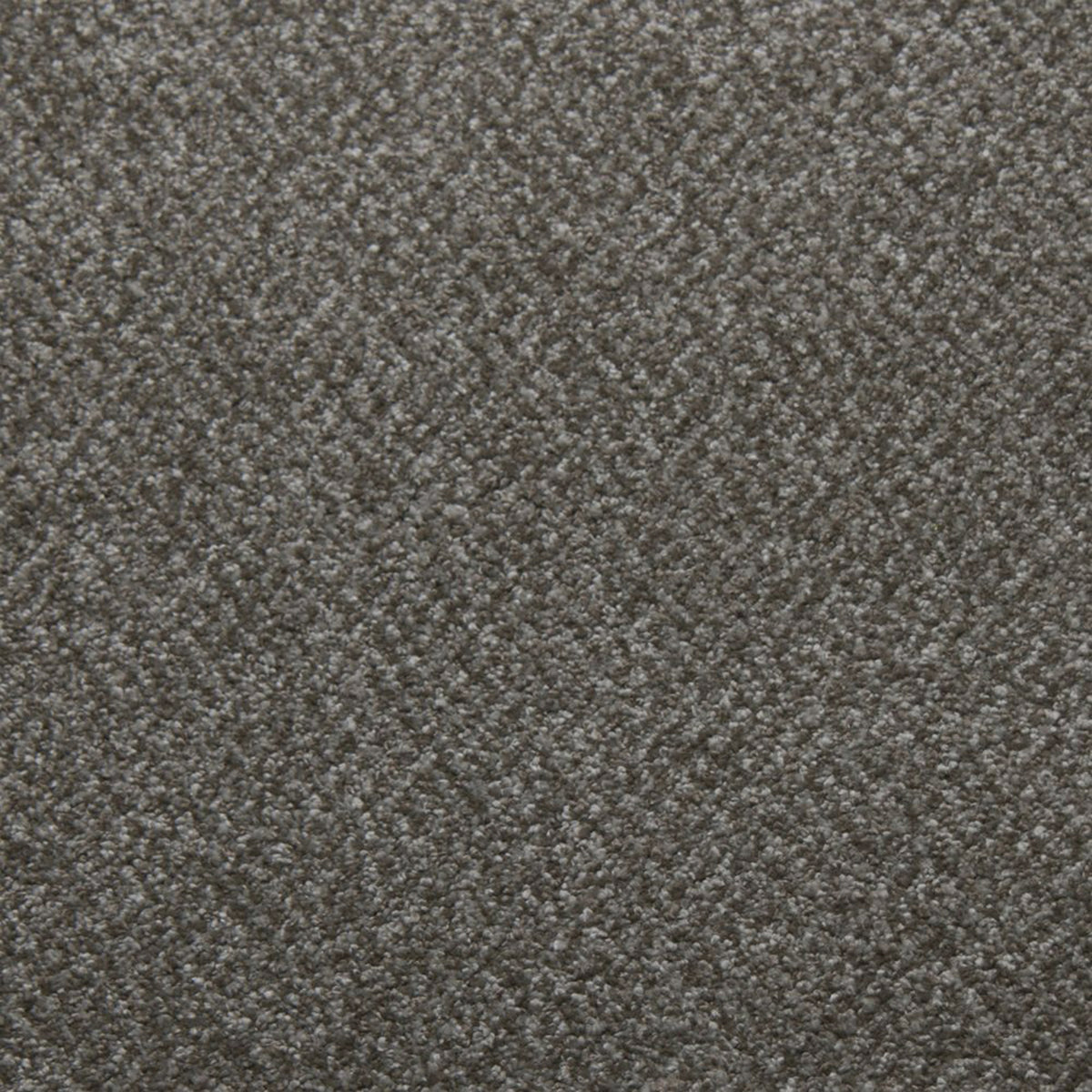 Downy carpet in Bliss 13320