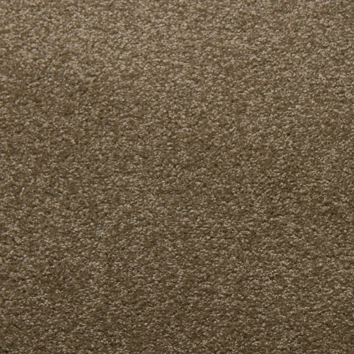Downy carpet in Buff 50338