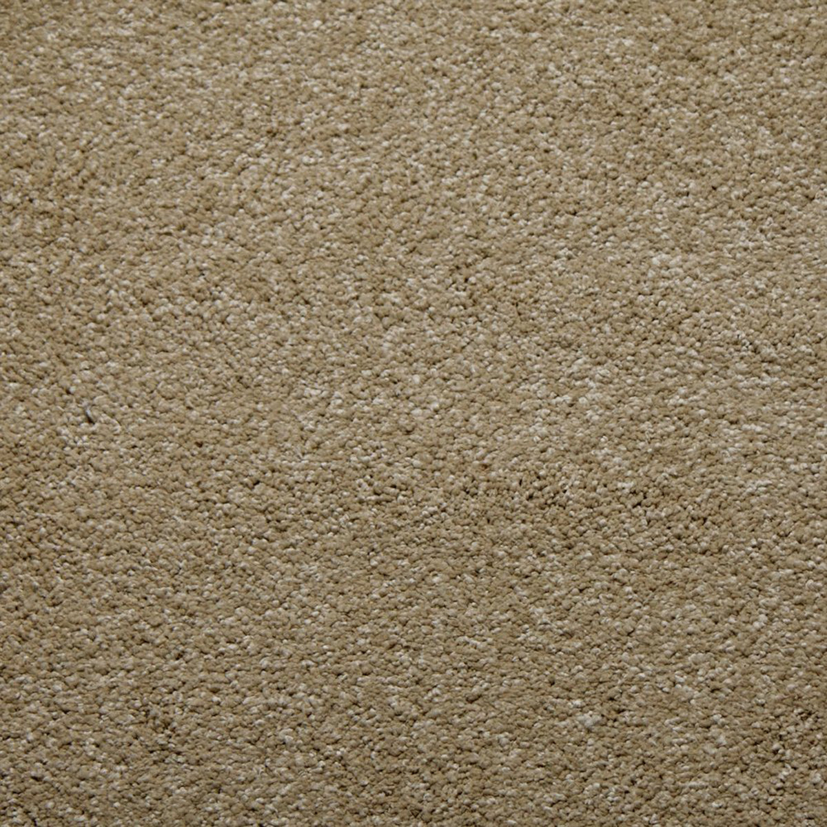 Downy carpet in Camel 50341