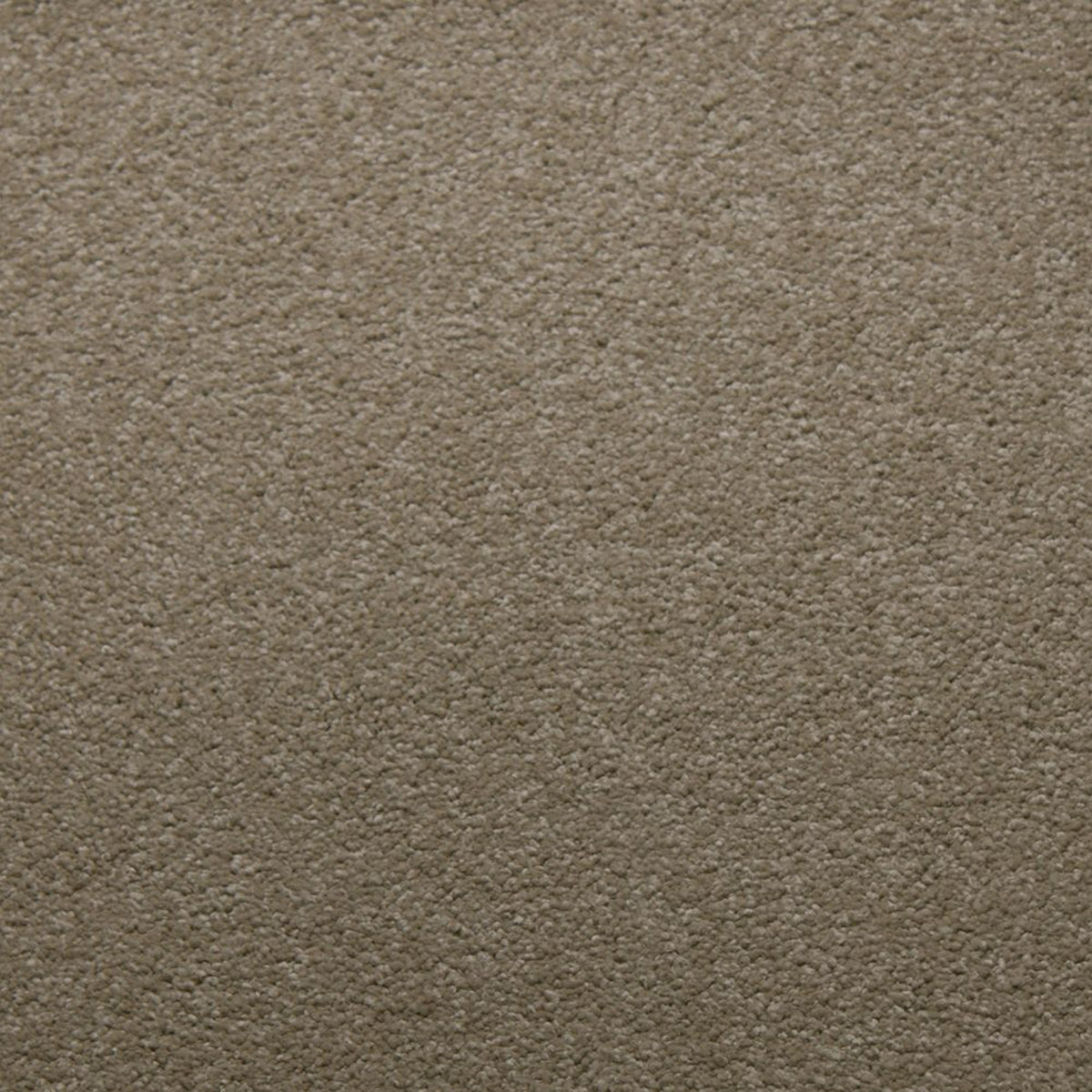 Downy carpet in Canvas 50339