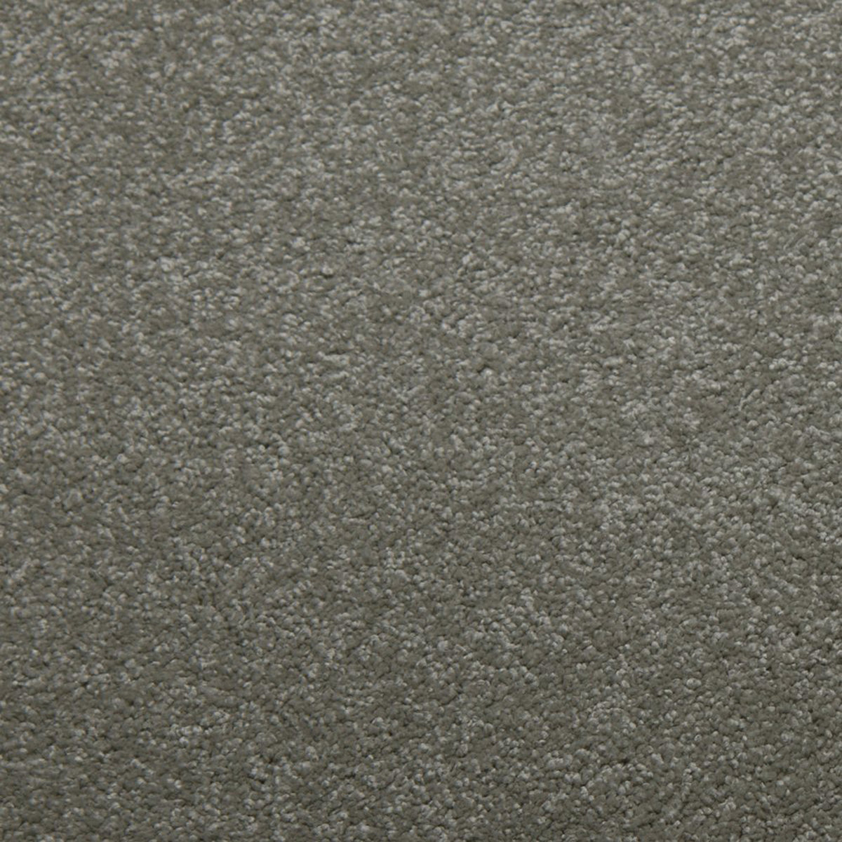 Downy carpet in Chrome 50814
