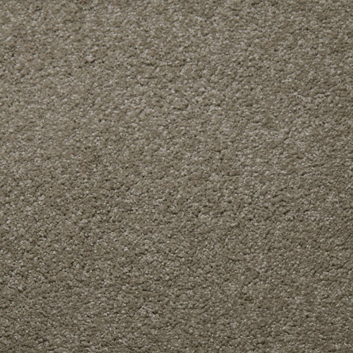 Downy carpet in Clay 50724