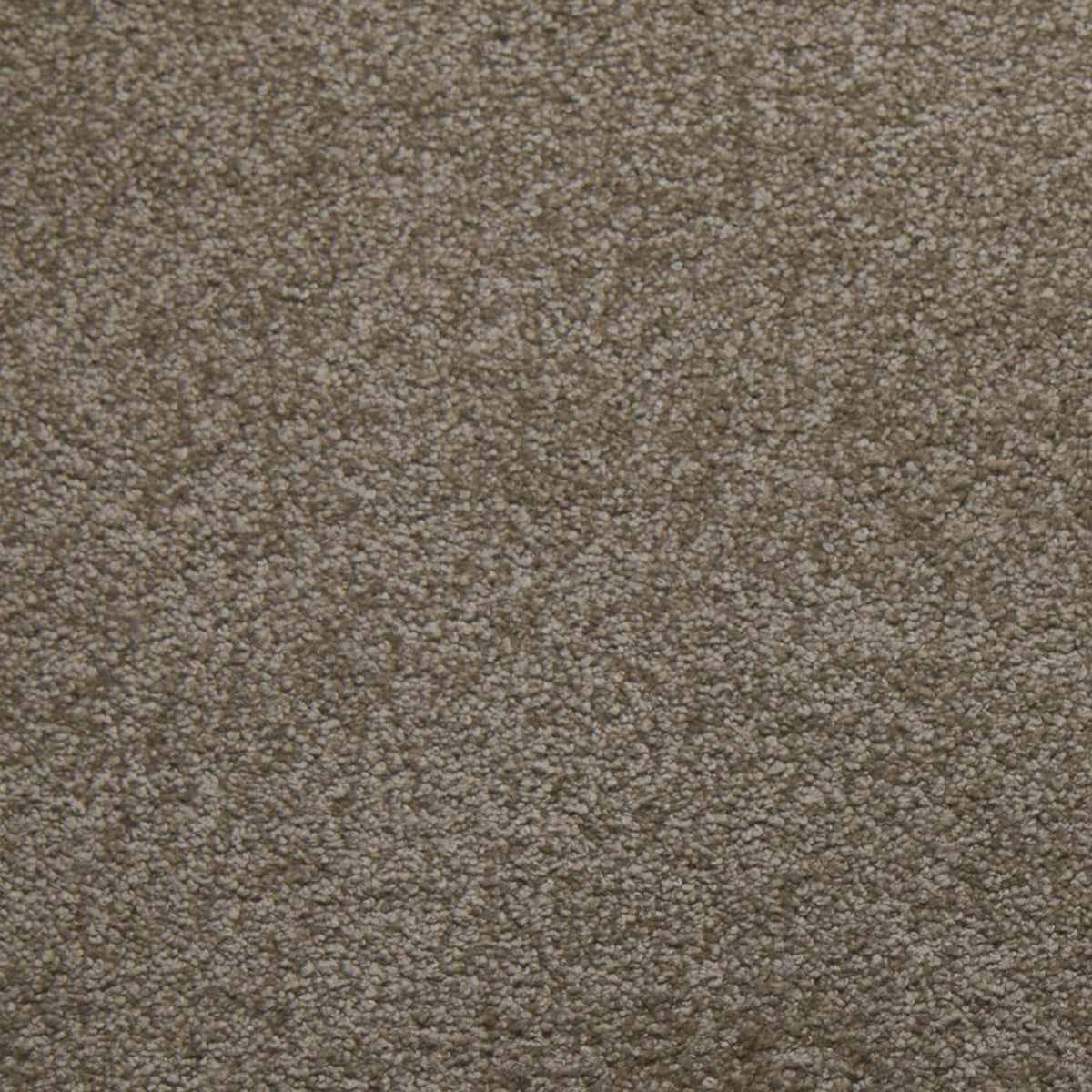 Downy carpet in Composure 13500