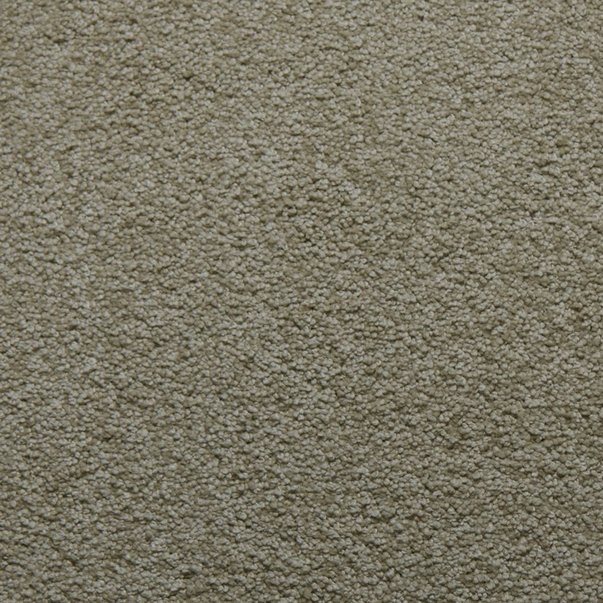Downy carpet in Crystalline 50104