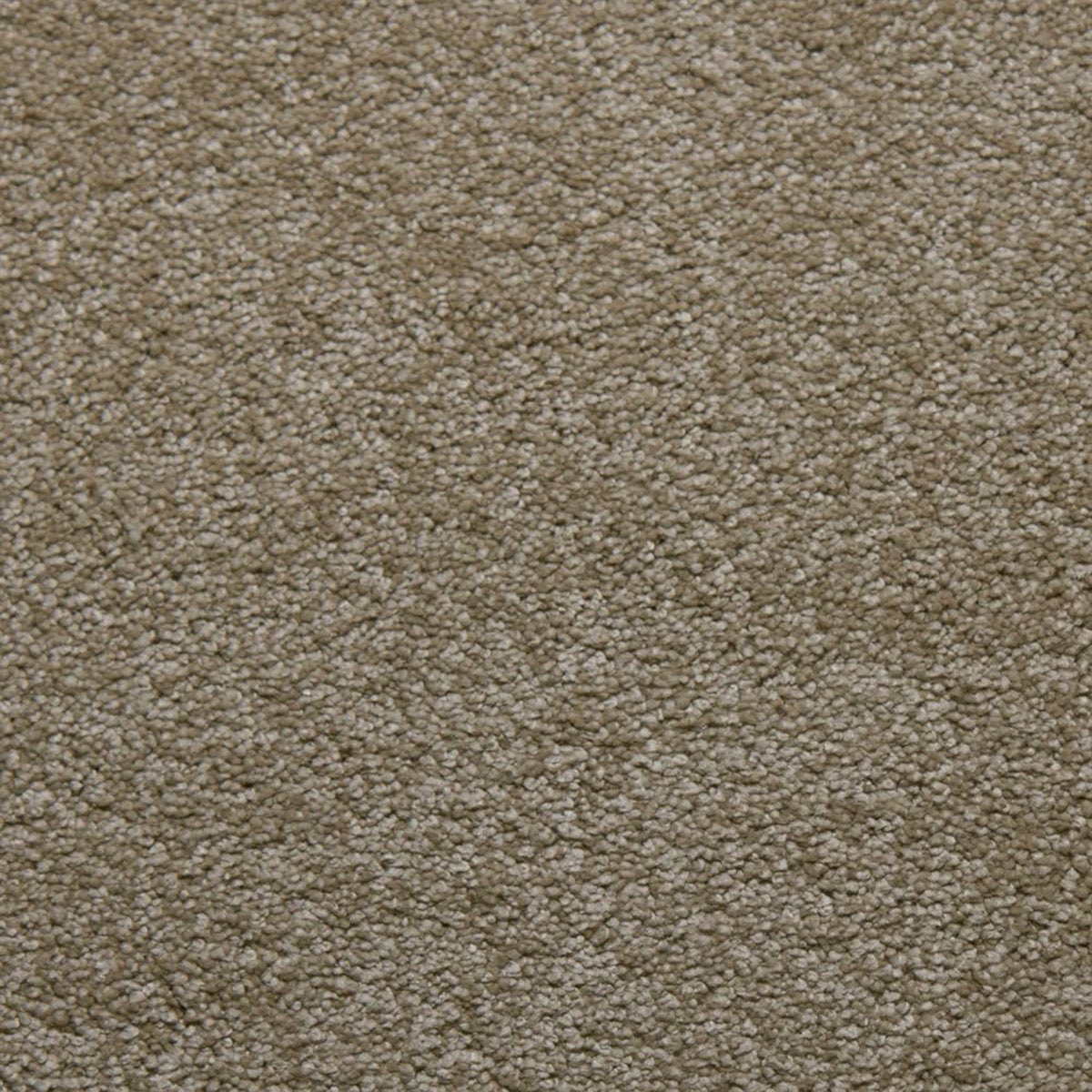 Downy carpet in Ecru 50340