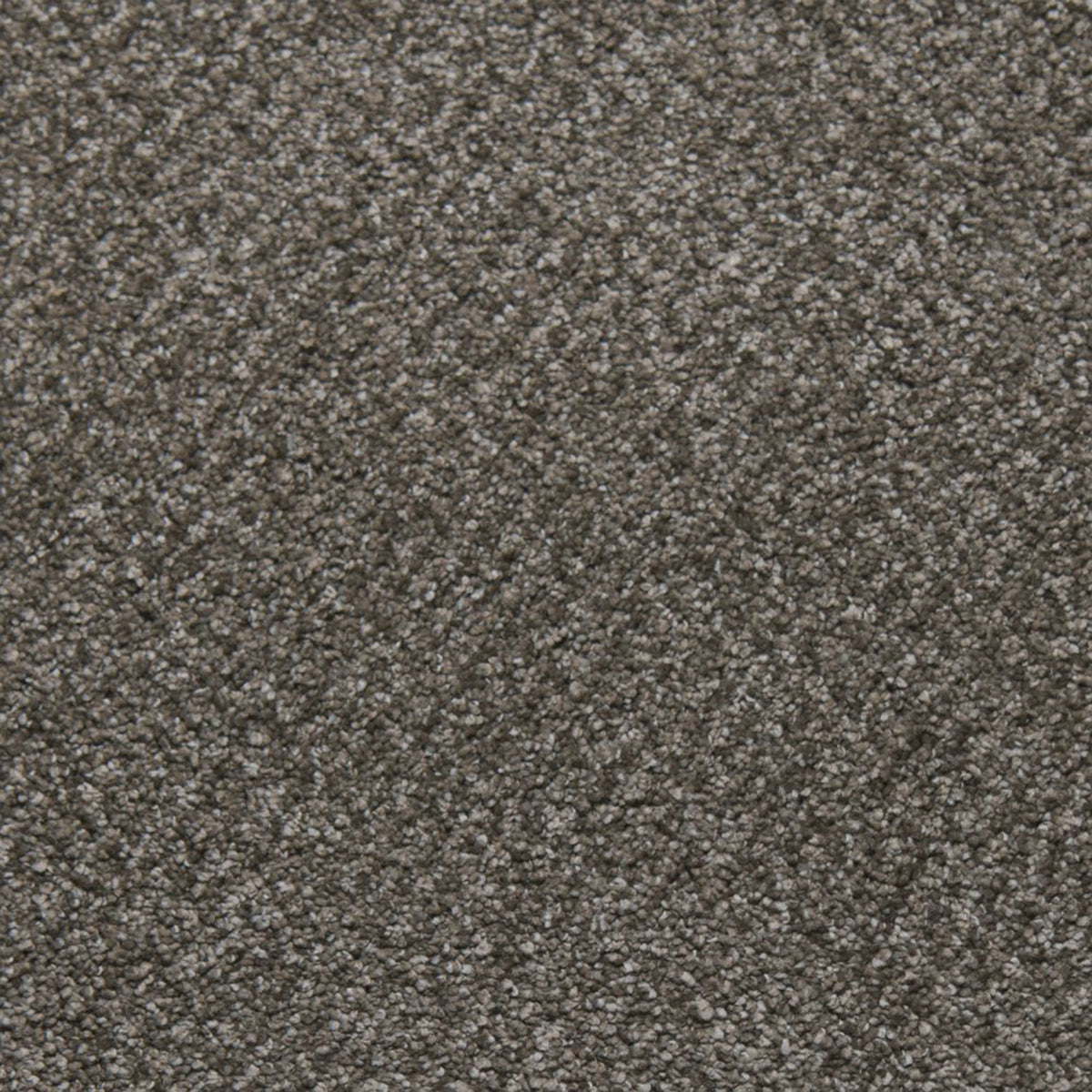 Downy carpet in Felicity 13330