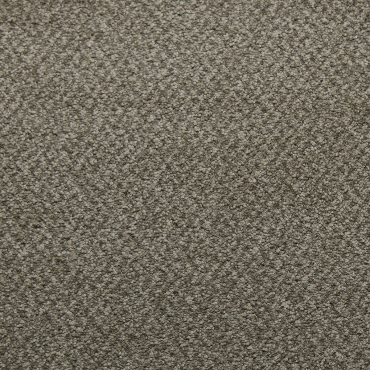 Downy carpet in Fortitude 13360