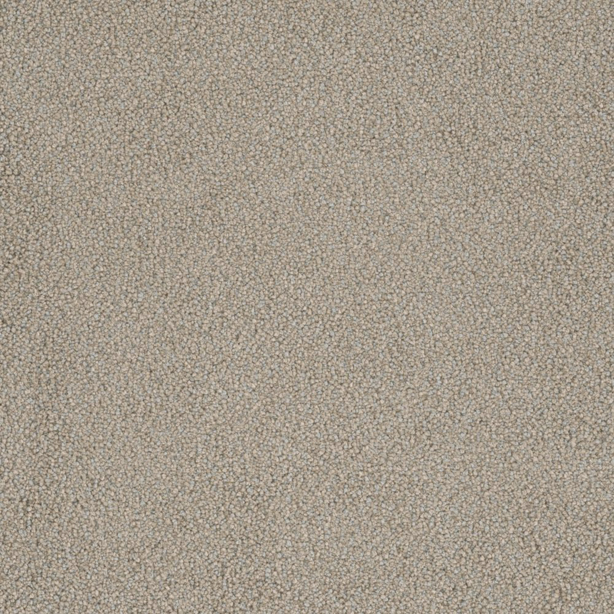 Downy carpet in Glisten 39814