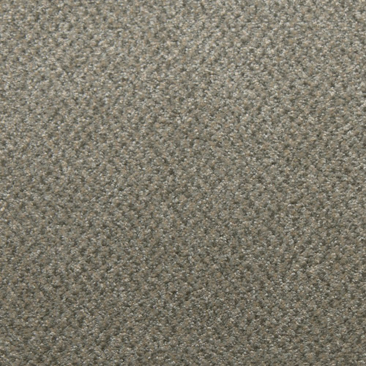 Downy carpet in Jasper 13340