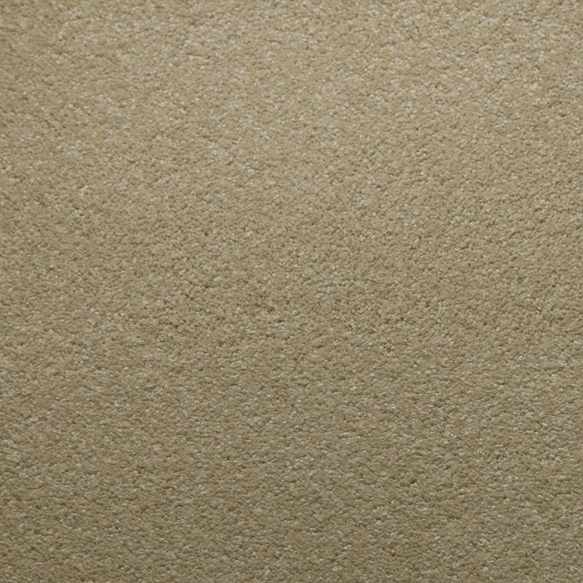 Downy carpet in Moonstone 50342