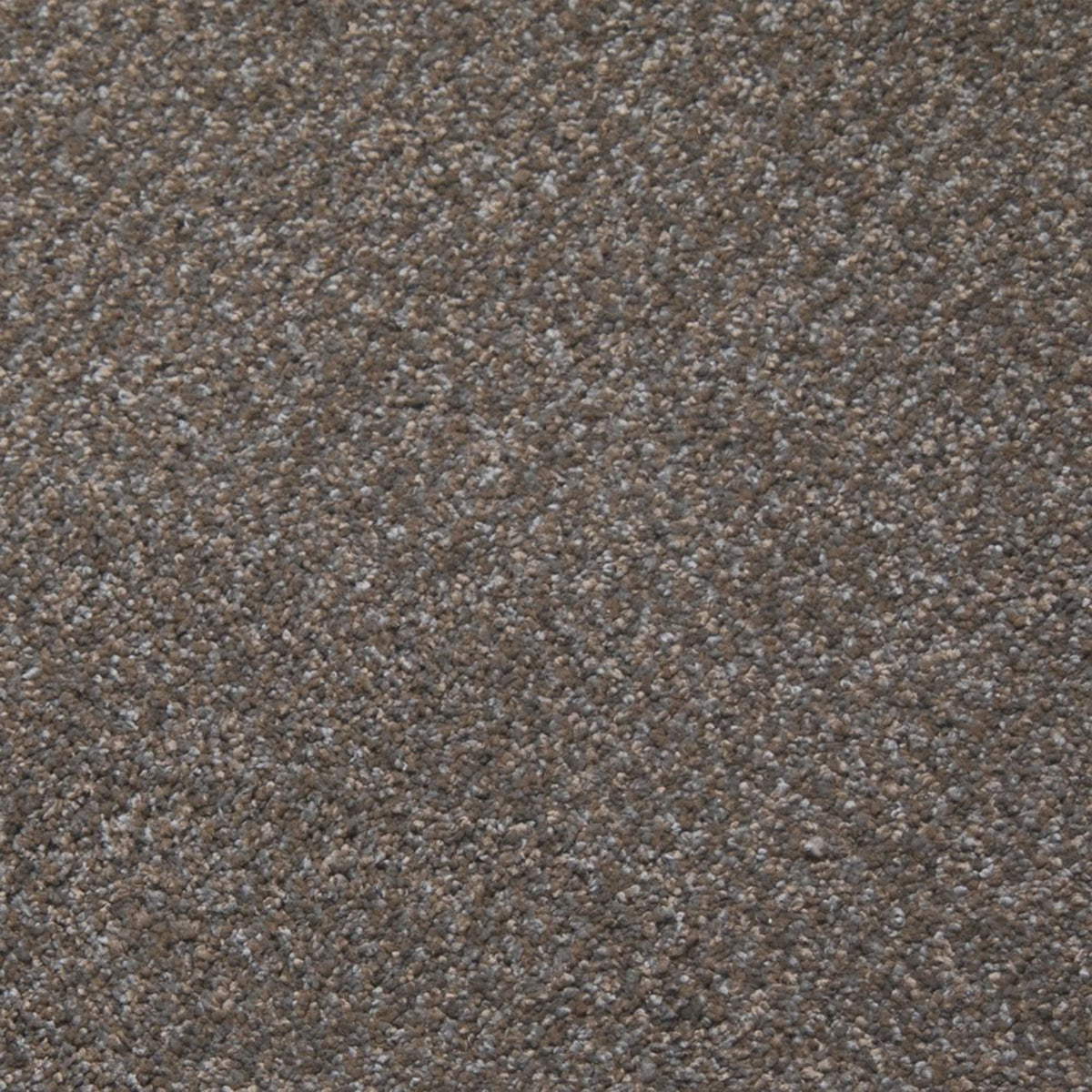 Downy carpet in Patience 13300