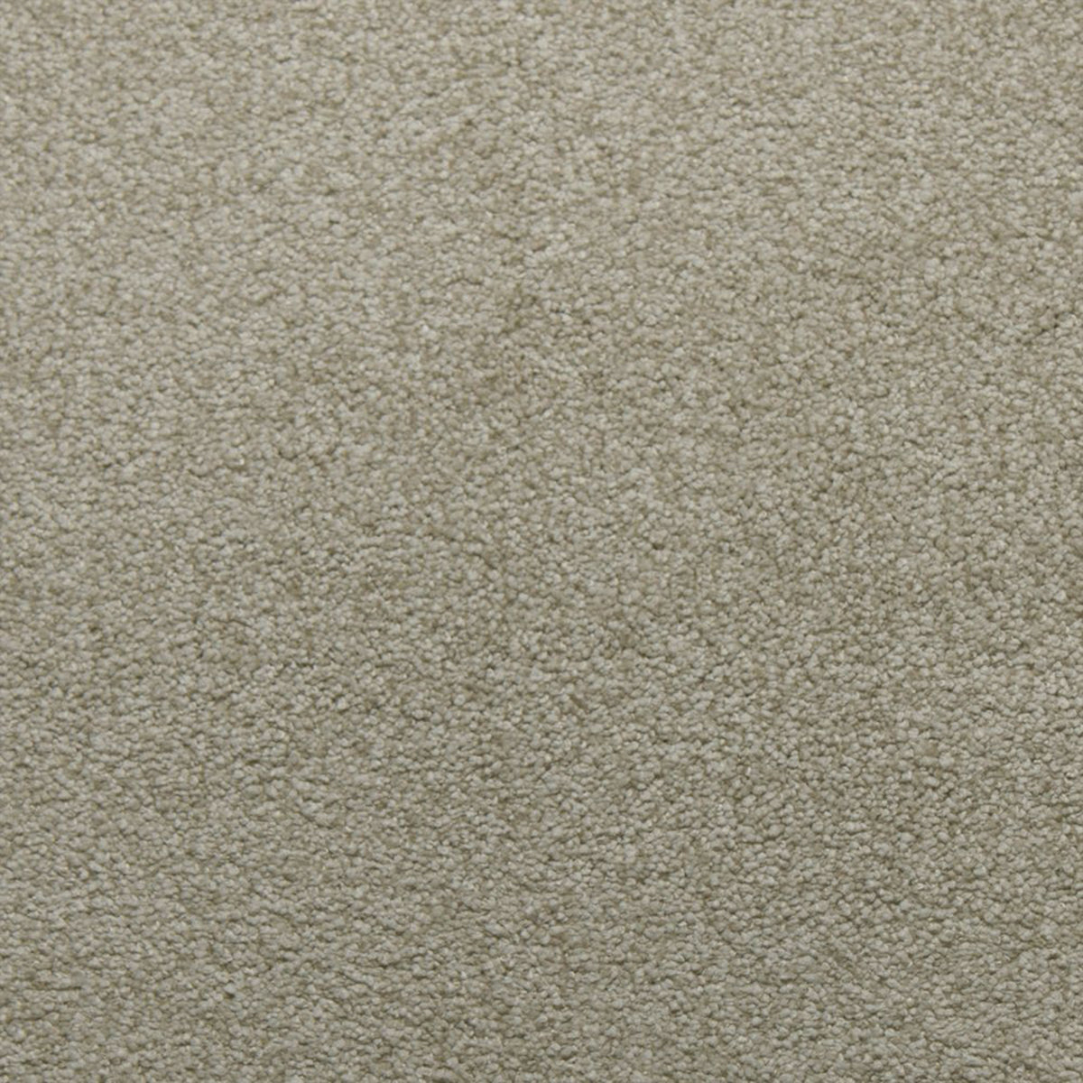 Downy carpet in Peace 13310