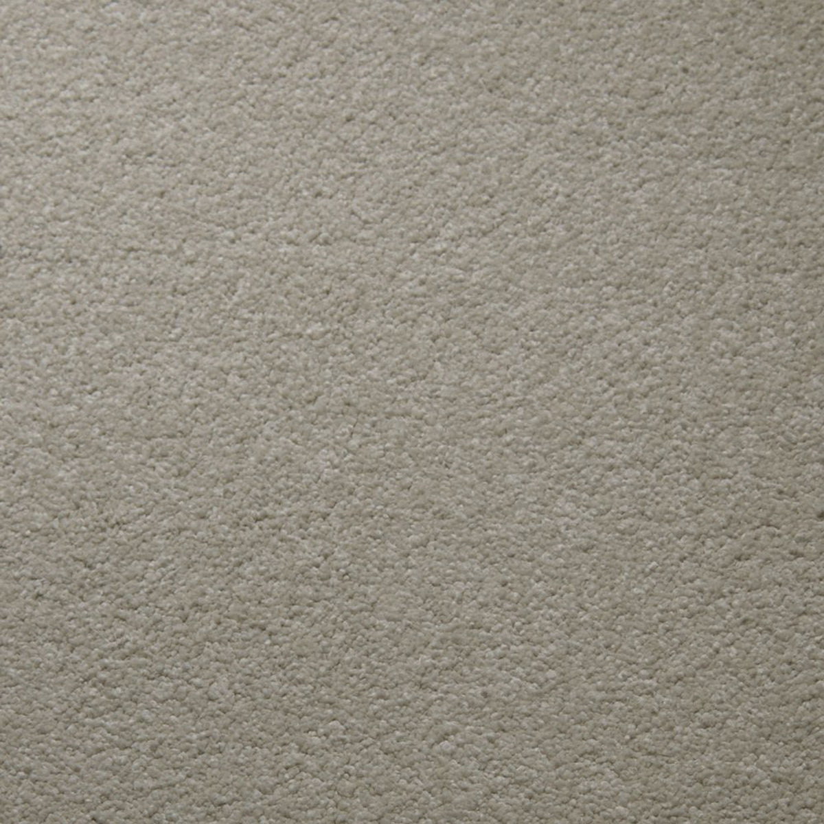 Downy carpet in Pearl 50105