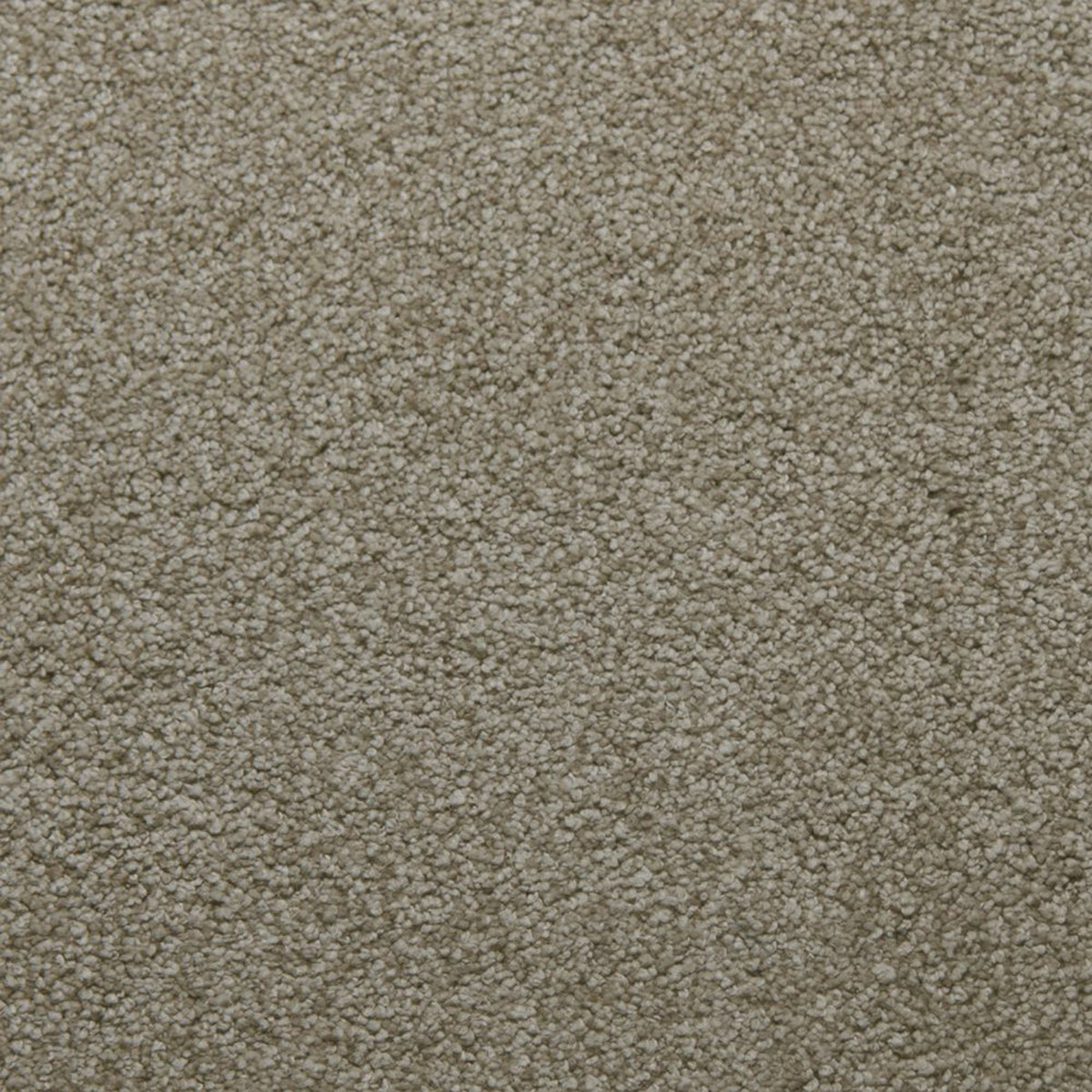 Downy carpet in Perseverance 13390