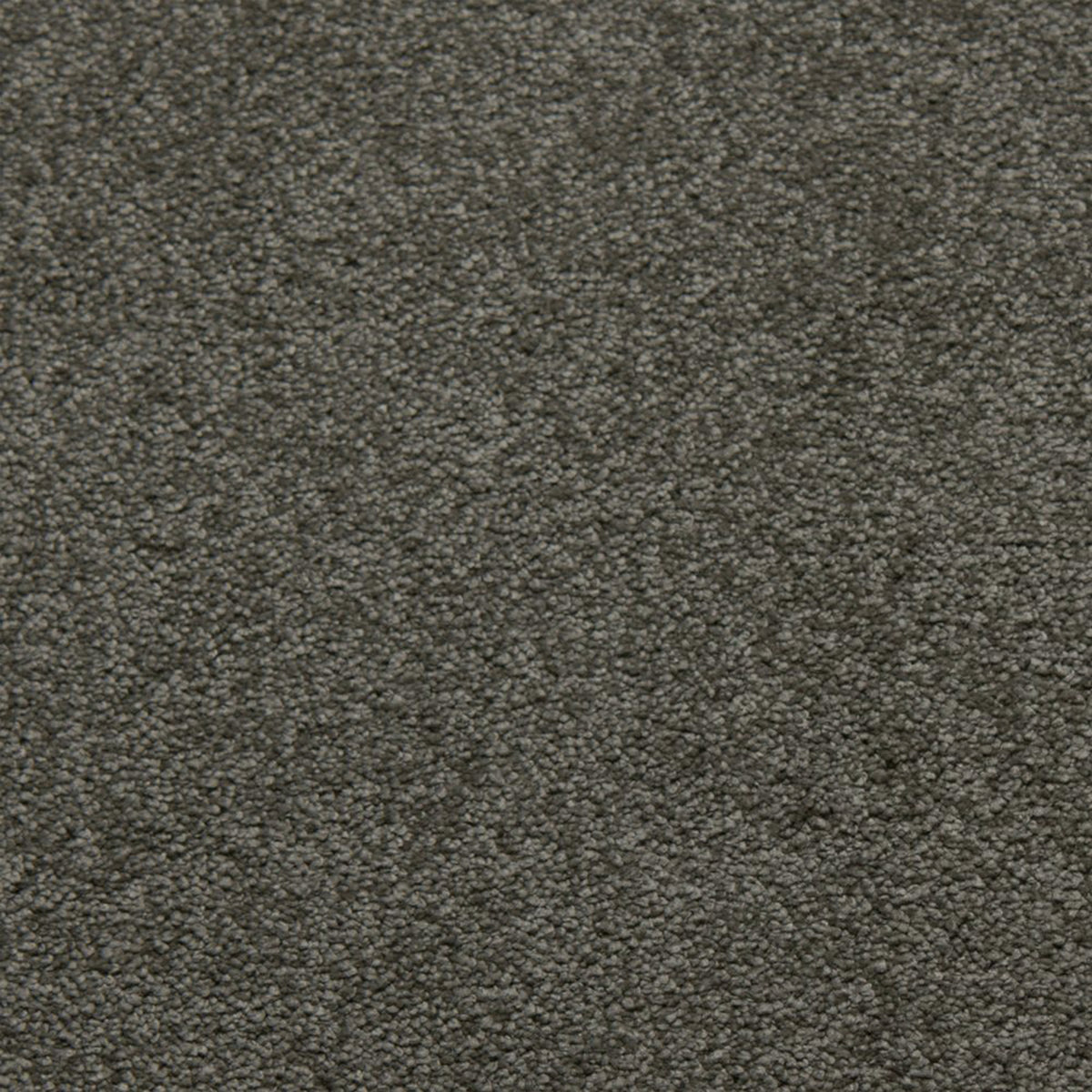 Downy carpet in Platinum 50813