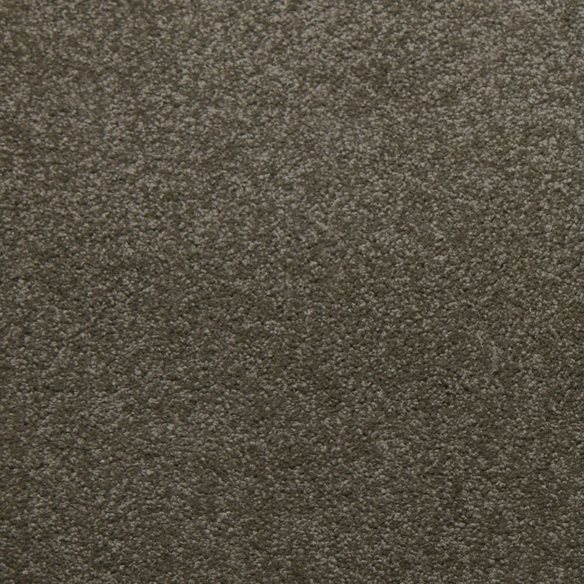 Downy carpet in Stonebriar 50727