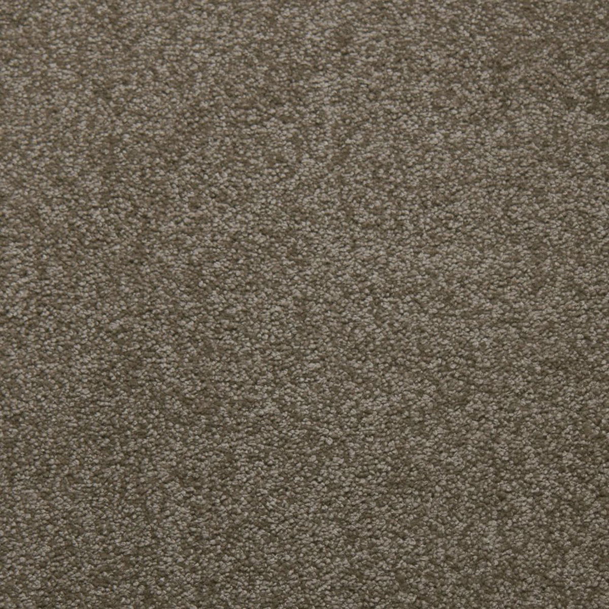 Downy carpet in Suede 50346
