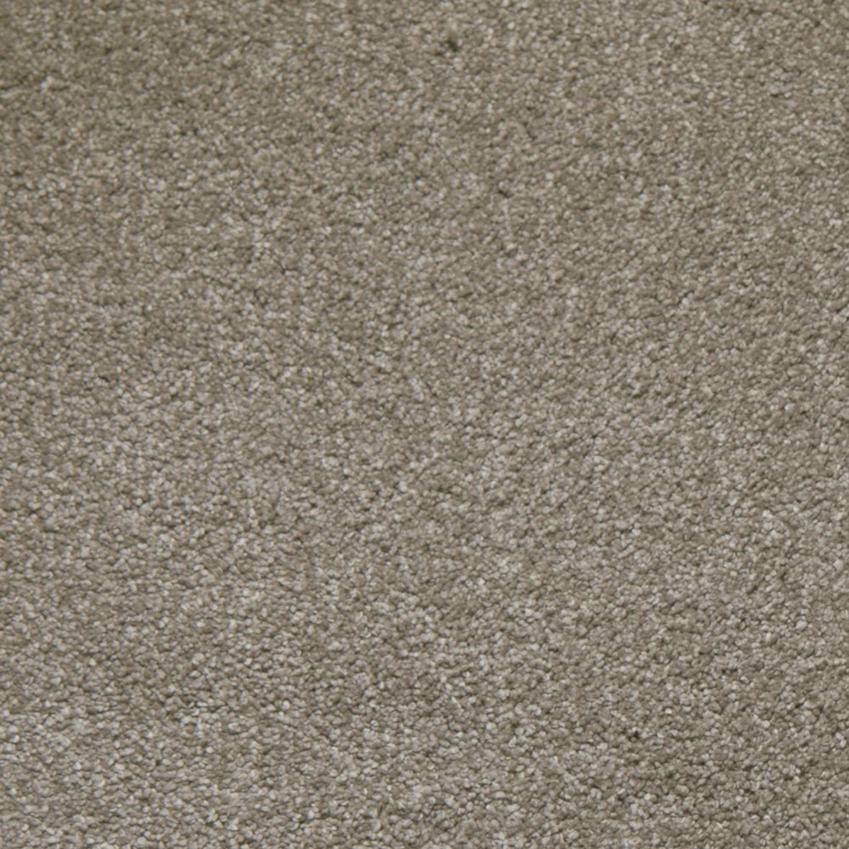 Downy carpet in Symmetry 13350