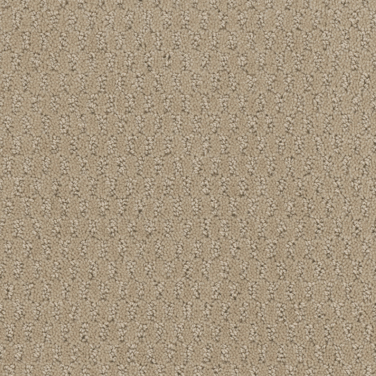 Key West carpet in Antique Beige 329