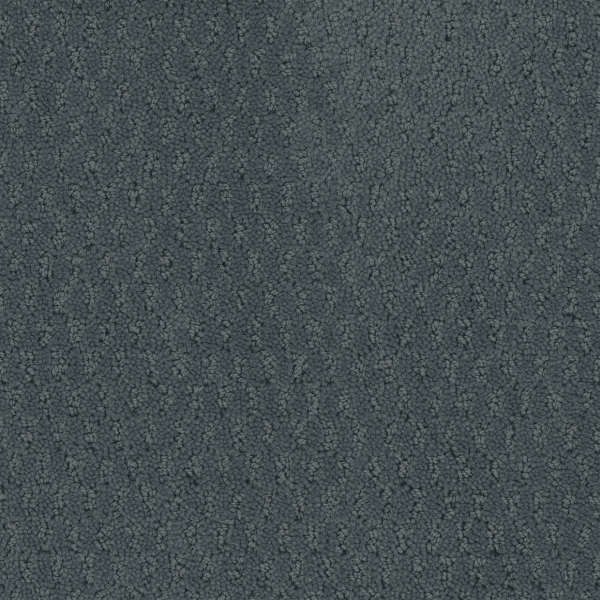 Key West carpet in Denim 826