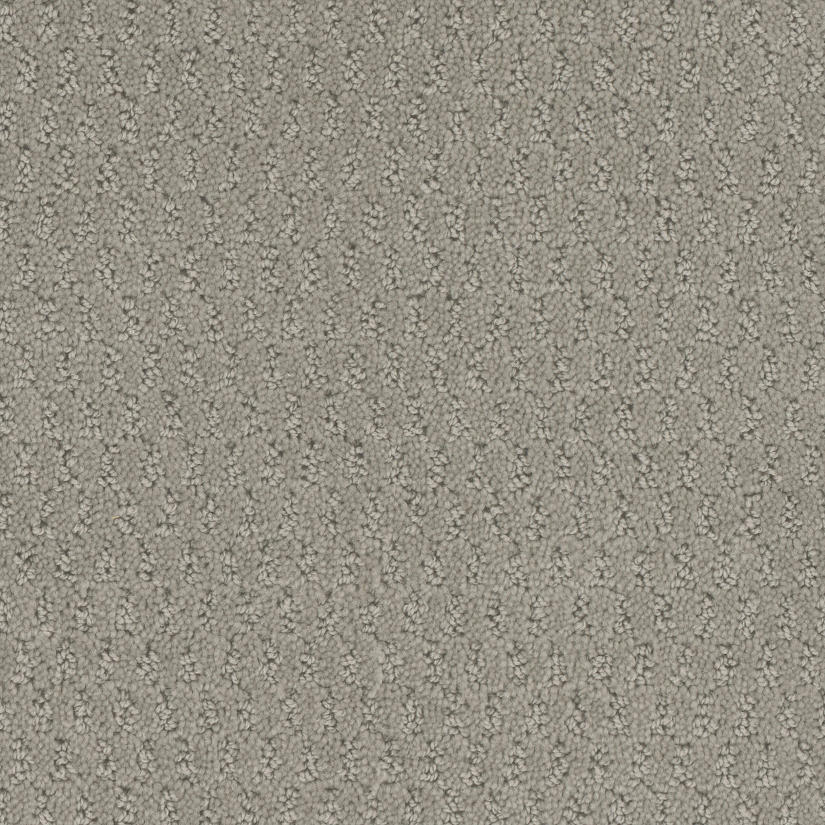 Key West carpet in Nickel 809