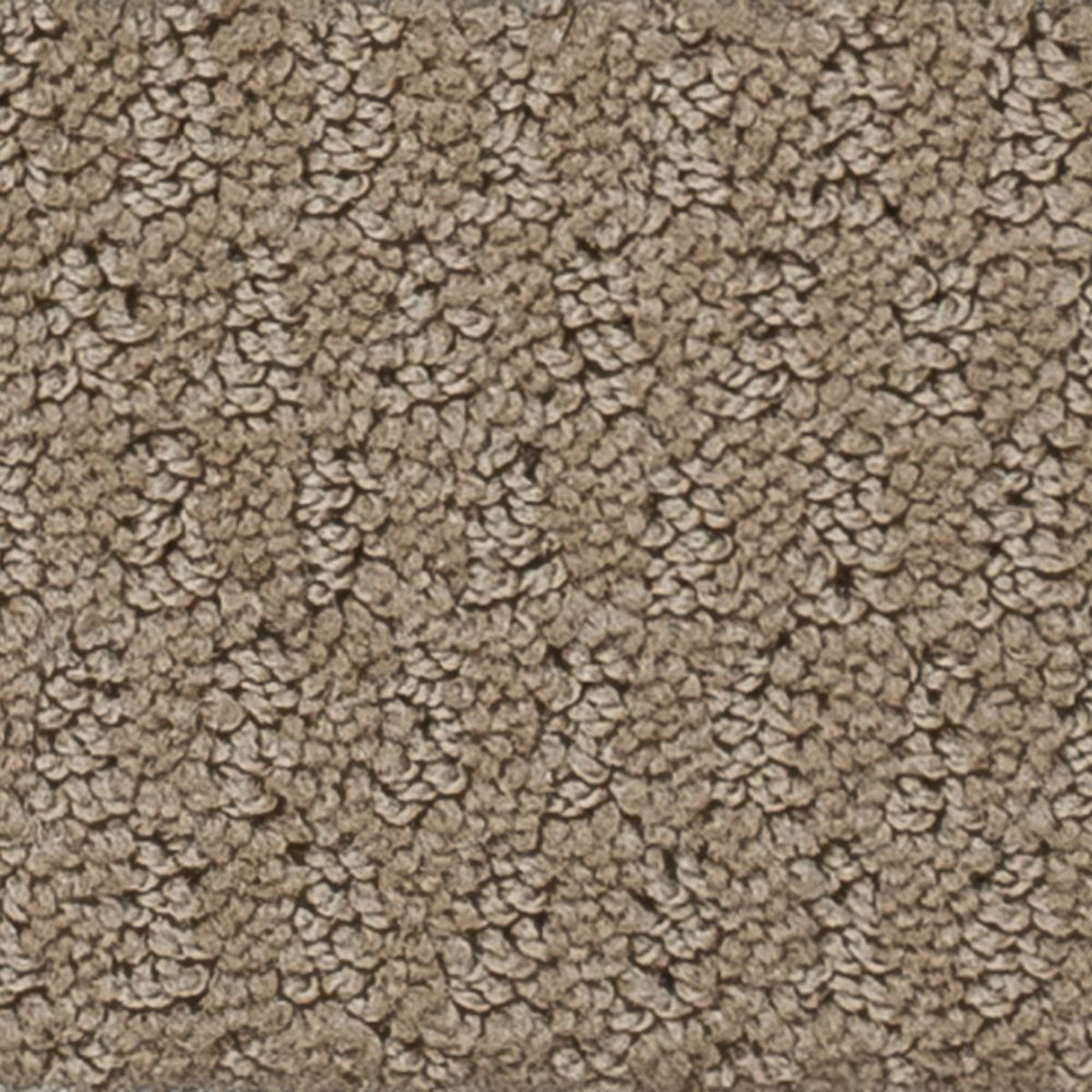 Key West carpet in River Rock 305
