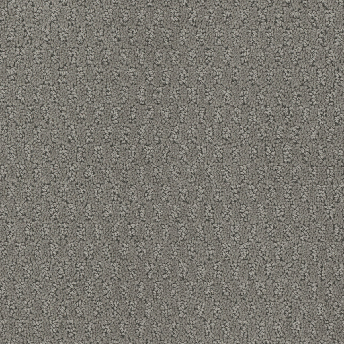 Key West carpet in Silver Lining 825