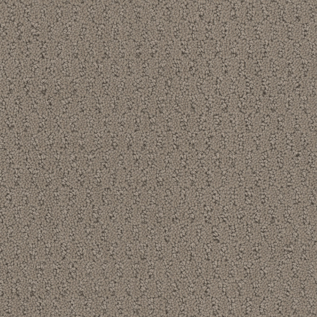 Key West carpet in Travertine 725