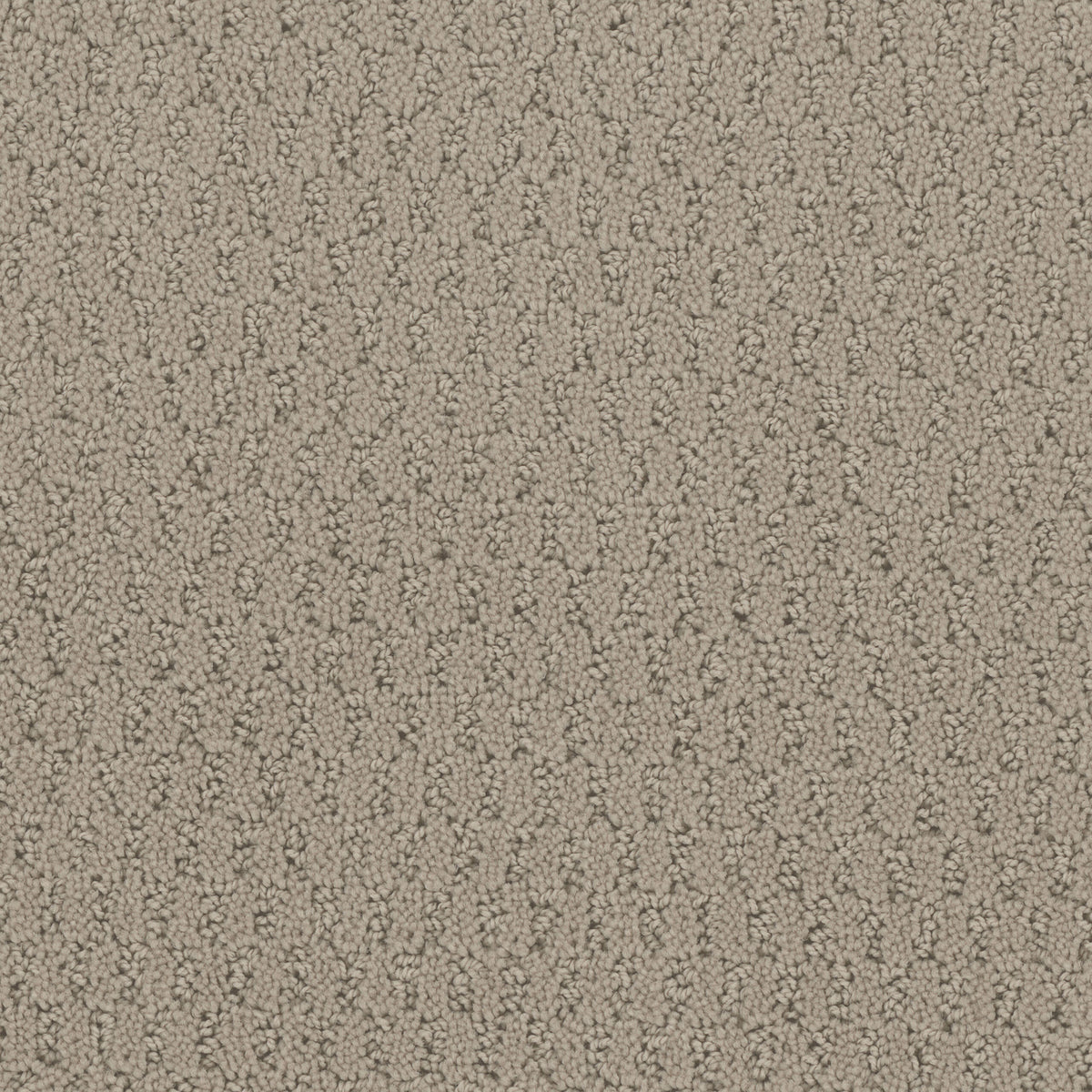 Key West carpet in Weathered 736