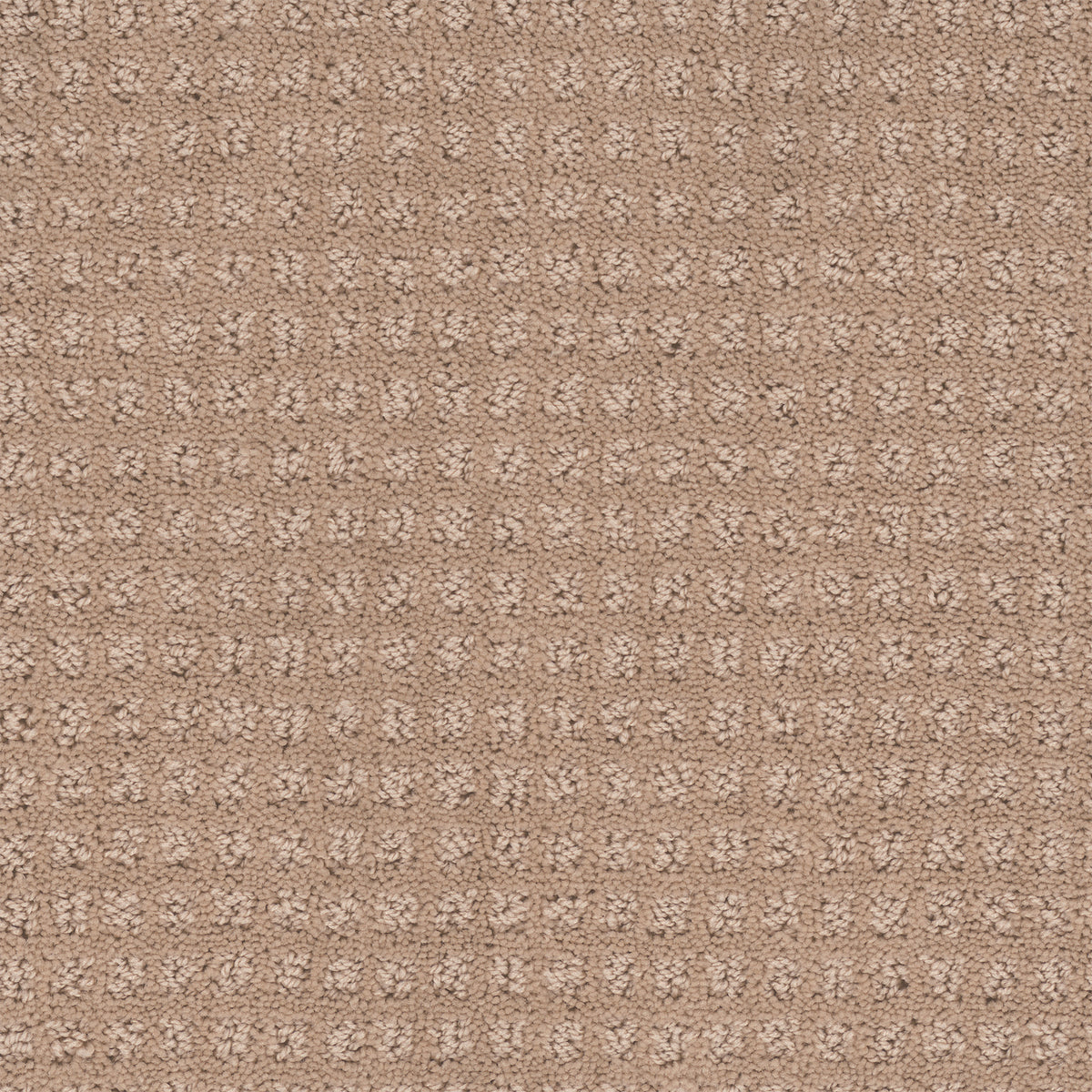Manhattan carpet in Antique Beige 329