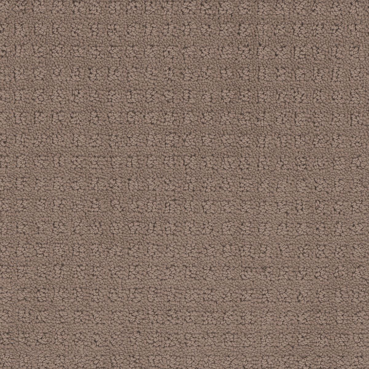Manhattan carpet in Flint 724