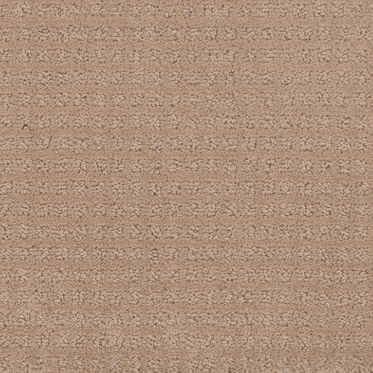 Manhattan carpet in Light Dusk 307