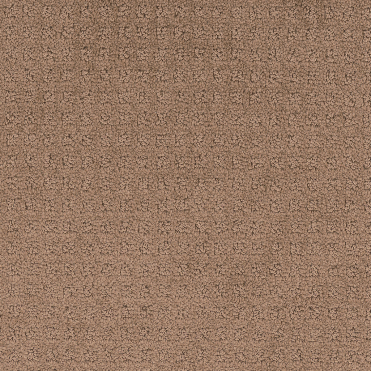 Manhattan carpet in Neutrino 304