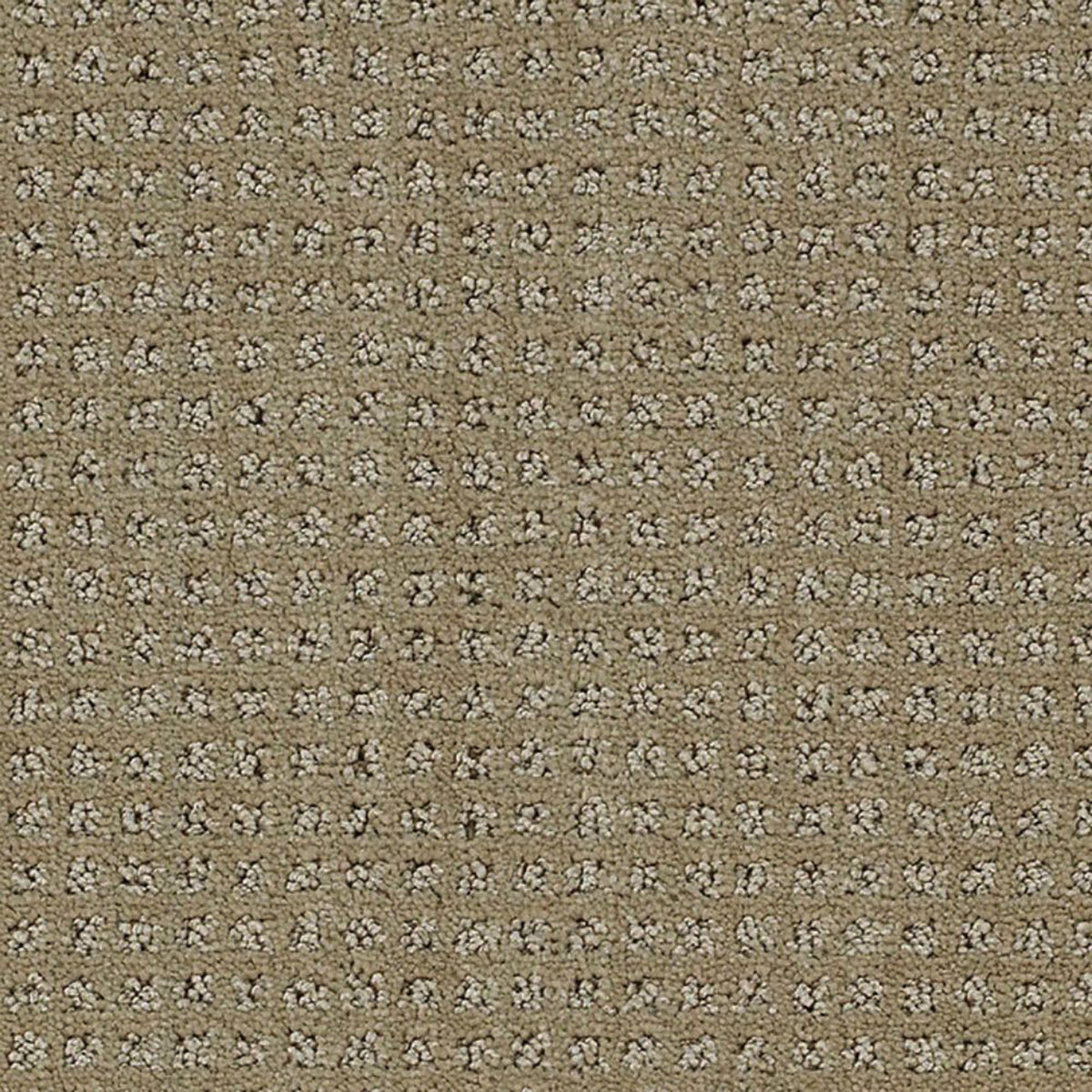 Manhattan carpet in Relaxed Khaki 330