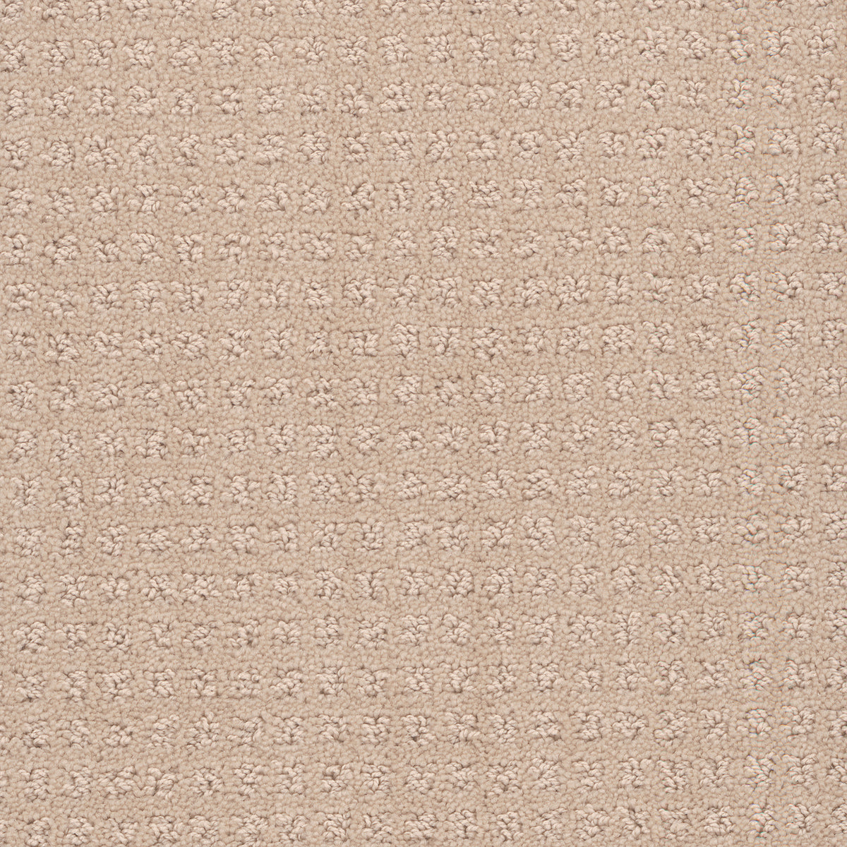 Manhattan carpet in Vanilla 103