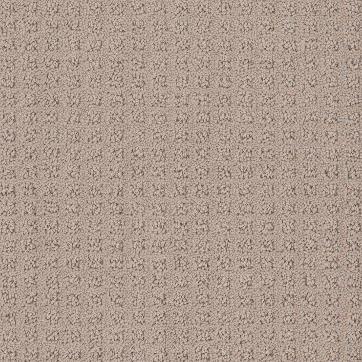 Manhattan carpet in Weathered 736
