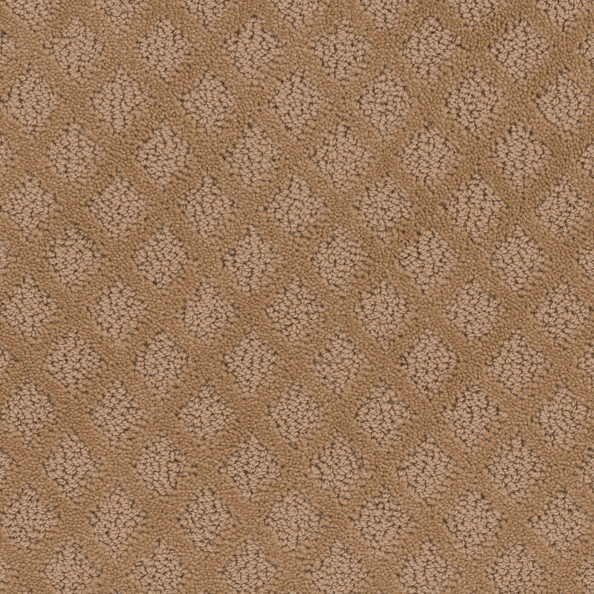 Mont Blanc carpet in Basket Beige 328