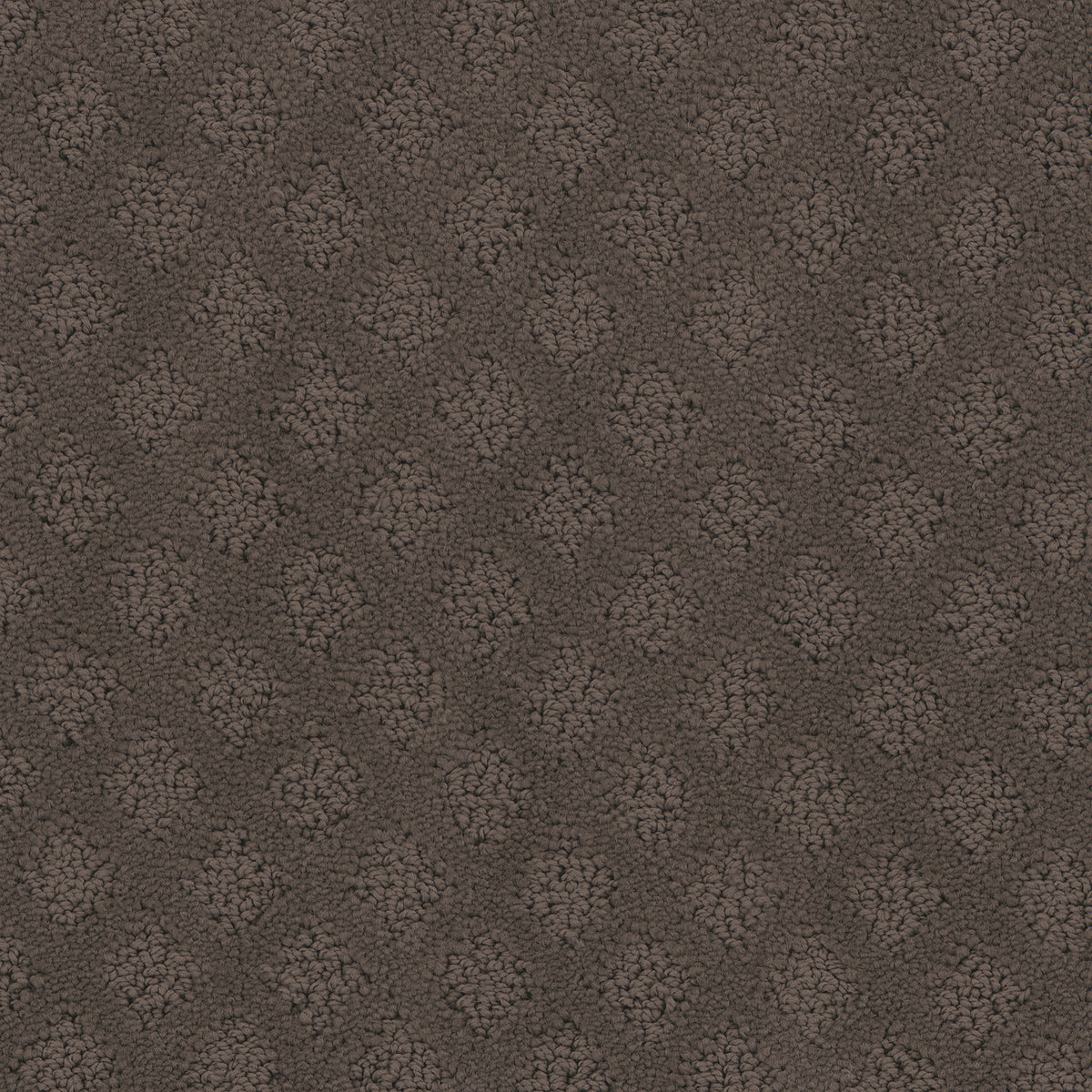 Mont Blanc carpet in Iron Ore 815