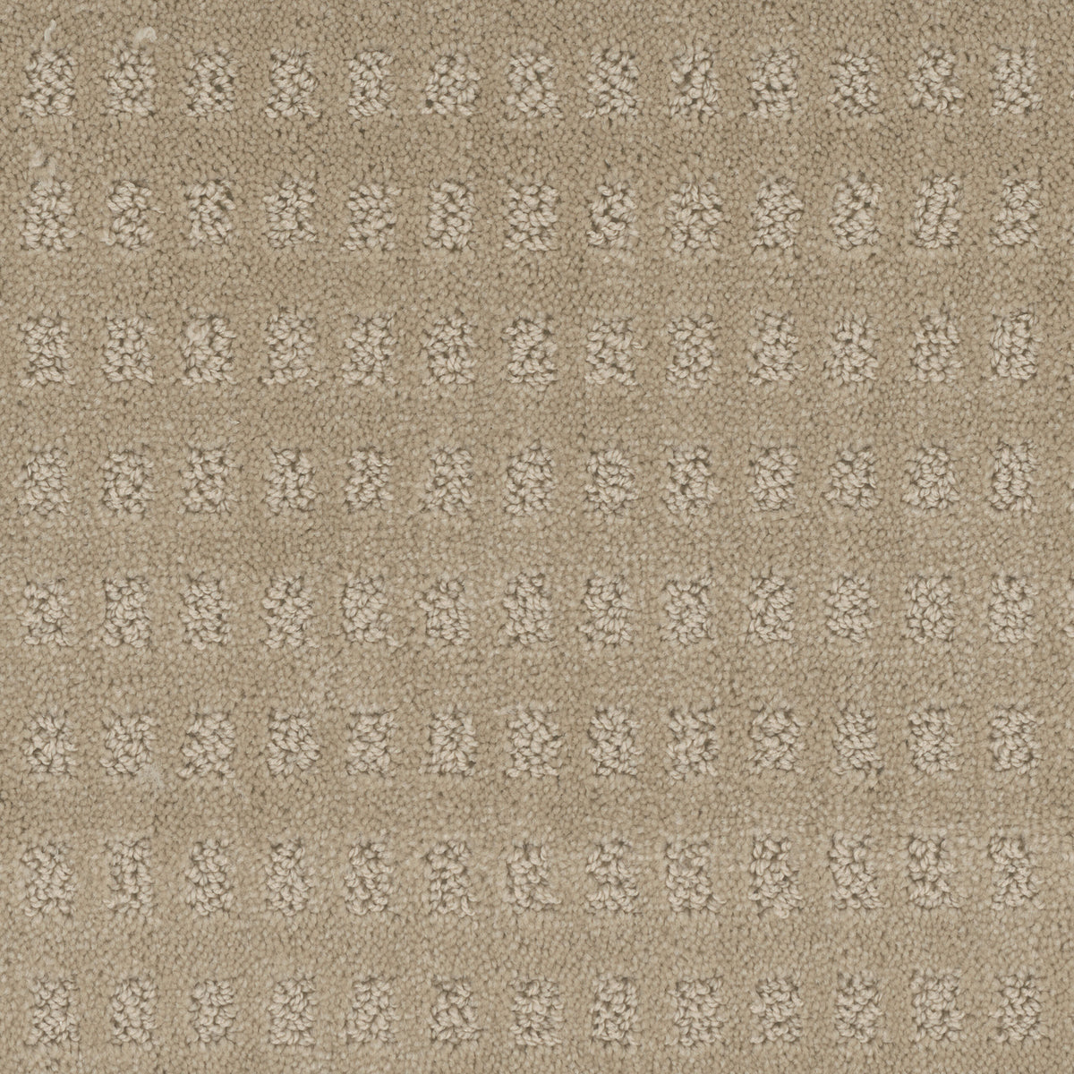 Pacific Heights carpet in Antique Beige 329