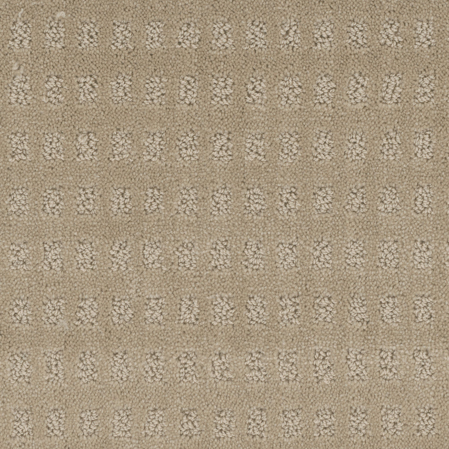 Tarkett Pacific Heights PET Carpet