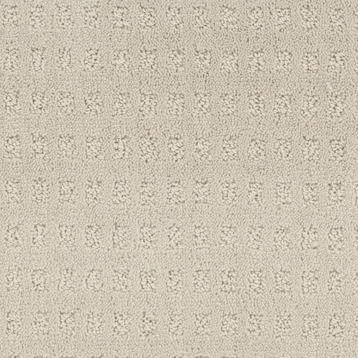Pacific Heights carpet in Coconut 109