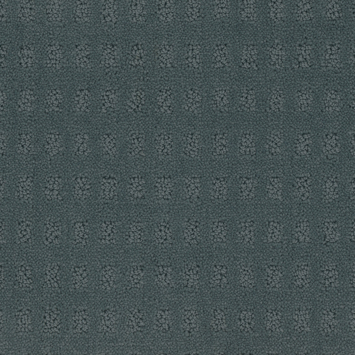 Pacific Heights carpet in Denim 826