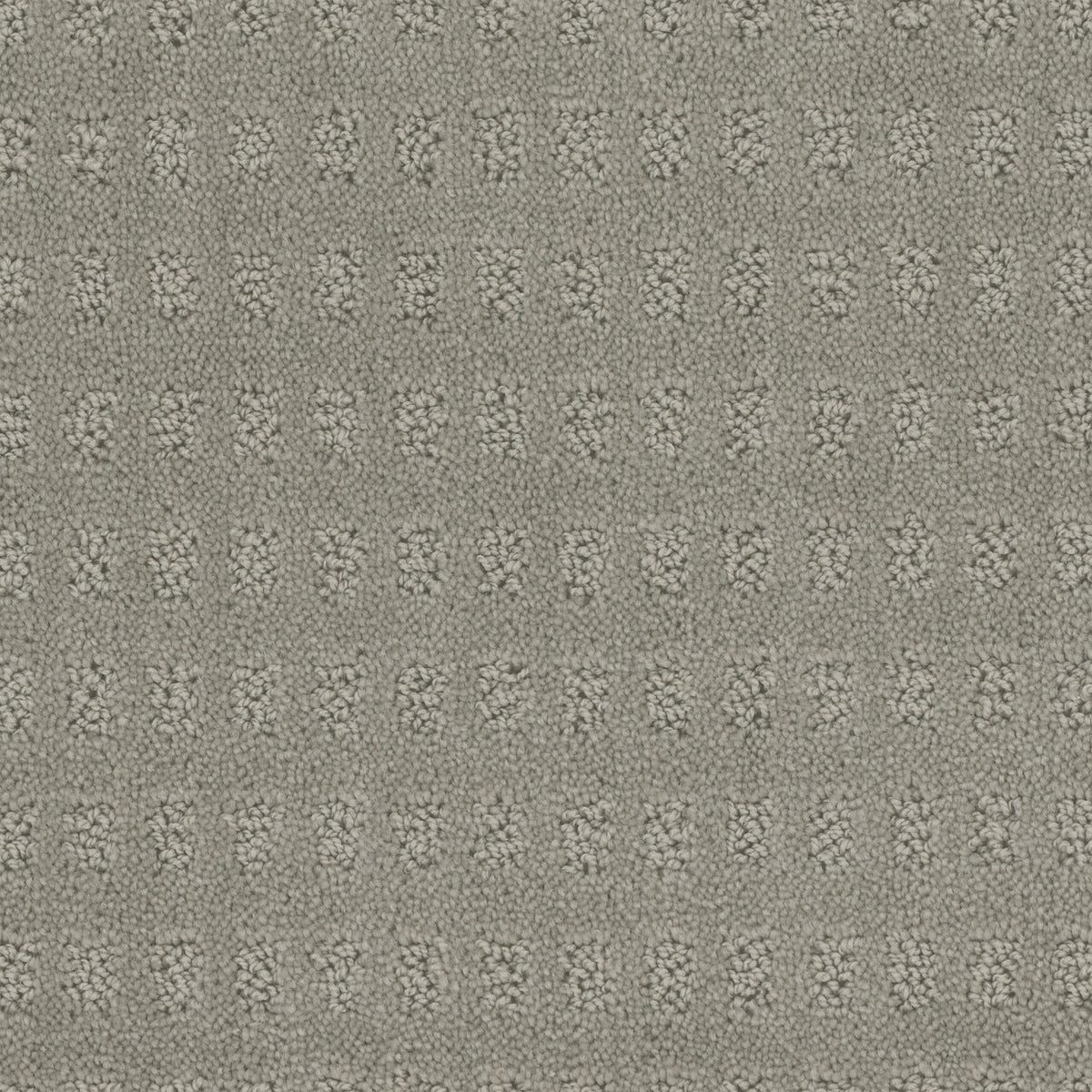 Pacific Heights carpet in Nickel 809